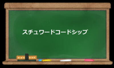 スチュワードコードシップ