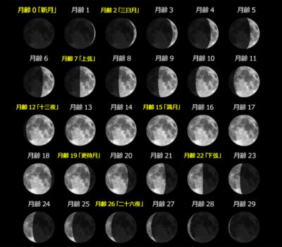新月・満月