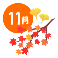 11月