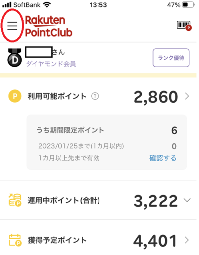 rakuten-point100